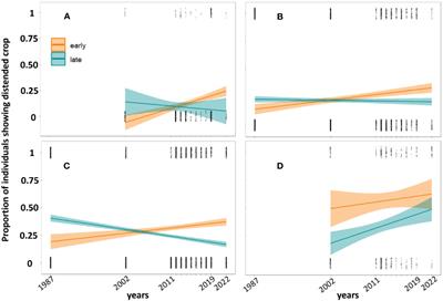 Feeding rates of raptors during autumn migration in the Central Appalachians 1987–2022